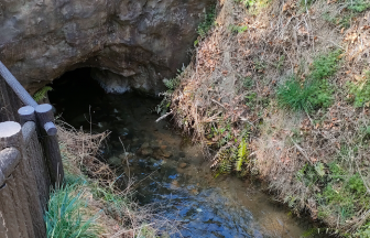 水が流れ込む新堀用水の木製フェンスのある入口