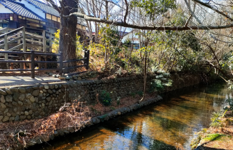 緑豊かな木々に囲まれた玉川上水の清流