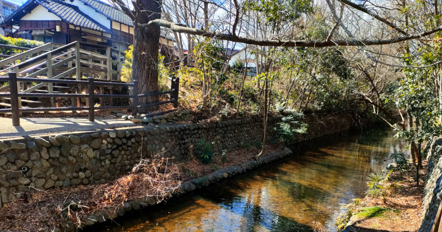 緑豊かな木々に囲まれた玉川上水の清流