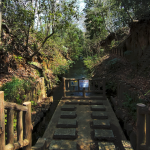 玉川上水にかかる小さな木製の橋、じょうすいこばし