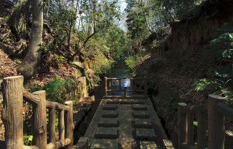玉川上水にかかる小さな木製の橋、じょうすいこばし