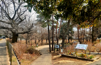 「あじさい公園」の看板が立つ、冬の公園入口。葉を落とした木々が見える。