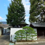 手入れされた庭の緑がある平櫛田中彫刻美術館の和風な入口