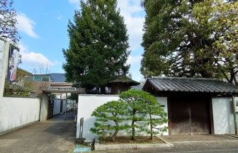 手入れされた庭の緑がある平櫛田中彫刻美術館の和風な入口