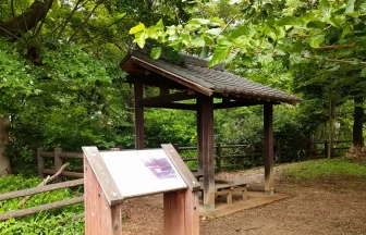 「木々に囲まれた静かな小川水衛所跡の全景」