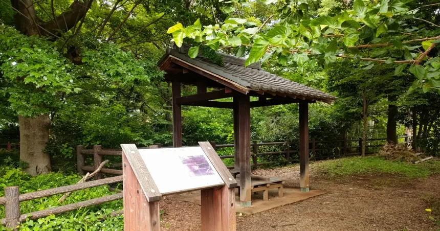 「木々に囲まれた静かな小川水衛所跡の全景」