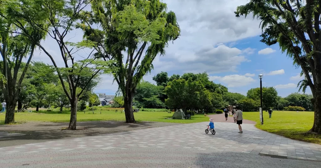 都立東村山中公園の緑に囲まれたメインストリートの散策路