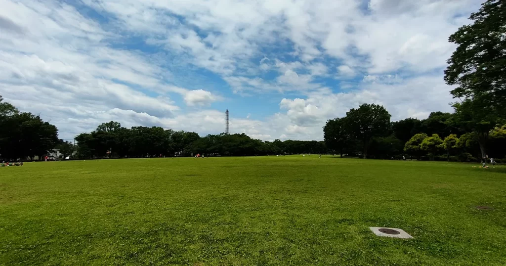 都立東村山中公園の広々とした一面芝生の緑地スペース